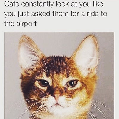 14 Hilarious Memes That Only People Who Love to Travel Will Understand
